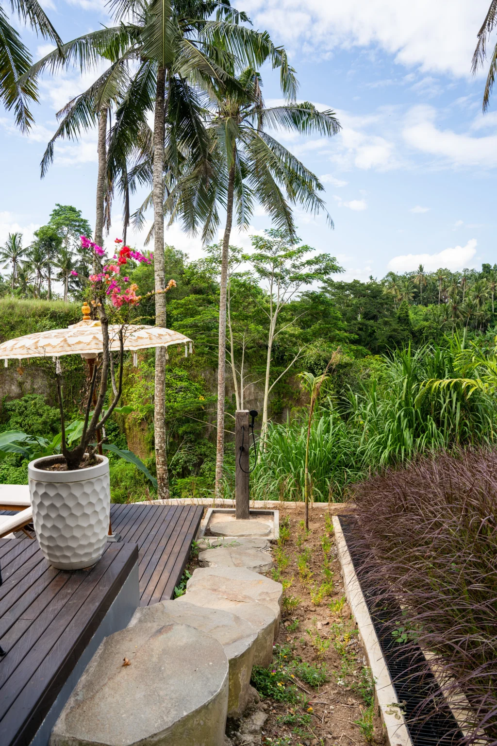 Garden path and tropical plants